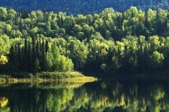 Talkeetna-Lakes-Hike-3