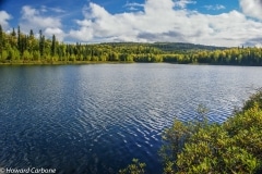 Talkeetna-lakes-yellowing
