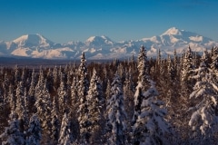 AlaskaNatureGuidesSnowshoe4