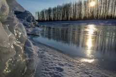 AlaskaNatureGuidesSnowshoe6