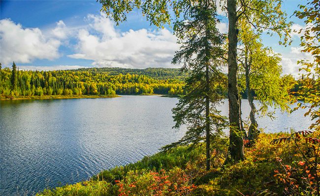 talkeetna lakes hiking trip with alaska nature guides