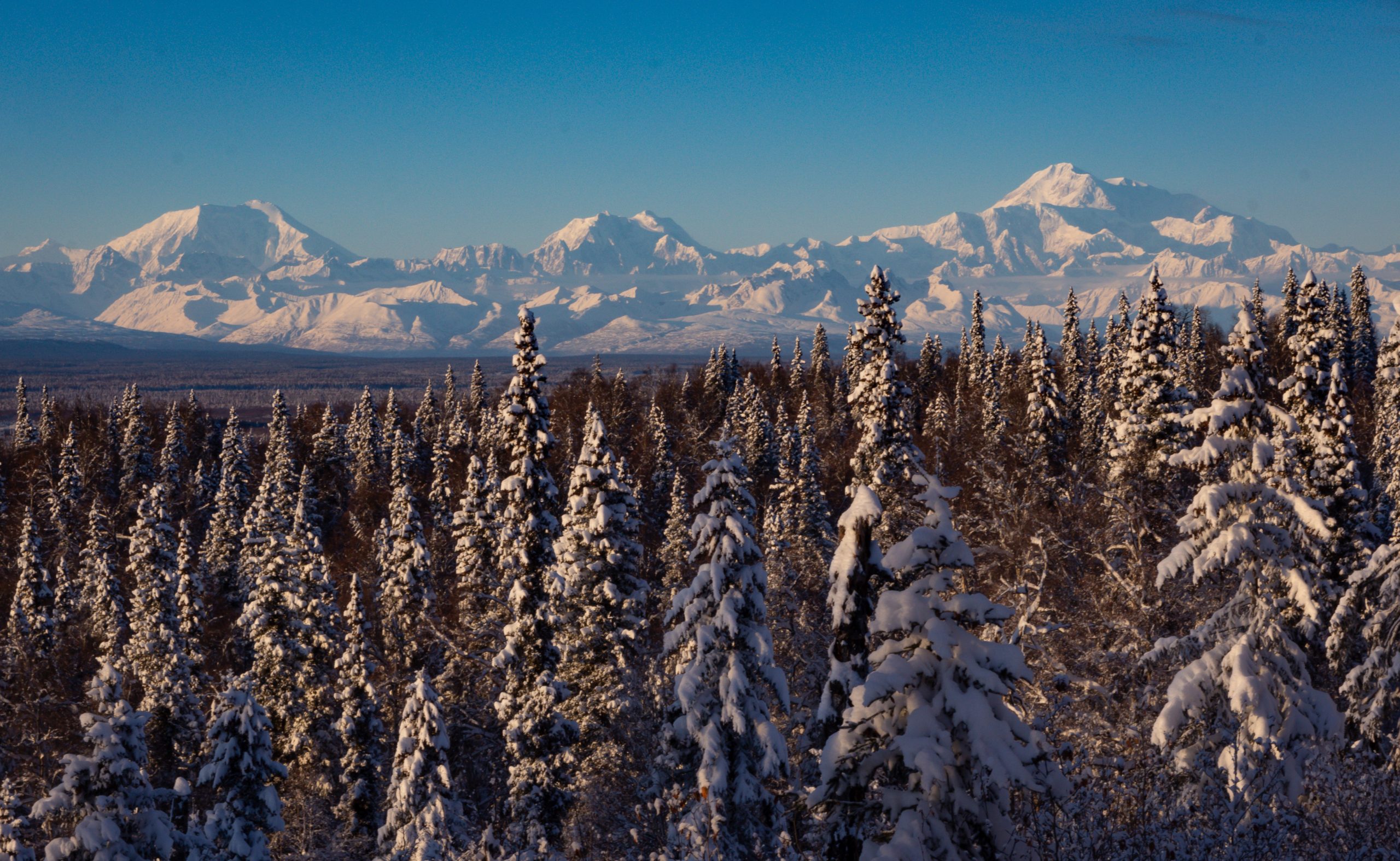 Alaska Nature Guides Snowshoe