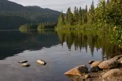 DSC03338