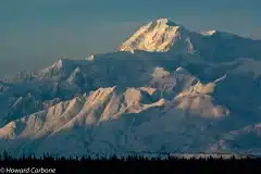 Blue-Denali