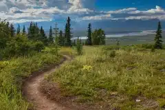 ANGDenaliWildernessHike5