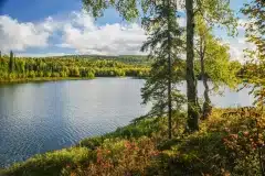 Talkeetna-Lakes-Hike-1