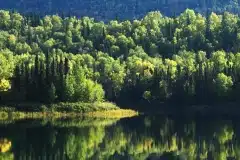 Talkeetna-Lakes-Hike-3