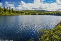Talkeetna-lakes-yellowing