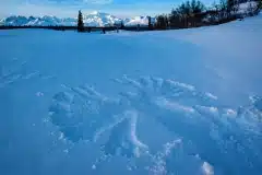 AlasaNatureGuidesSnowshoe3