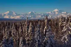 AlaskaNatureGuidesSnowshoe4